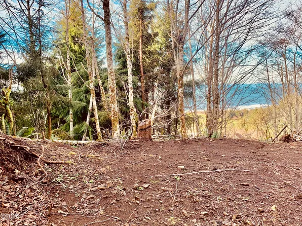 Tl 4200 Elk Mountain Rd, Yachats, OR 97498