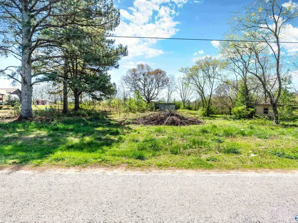 448 Dixie Dale Cir, Albertville, AL 35950