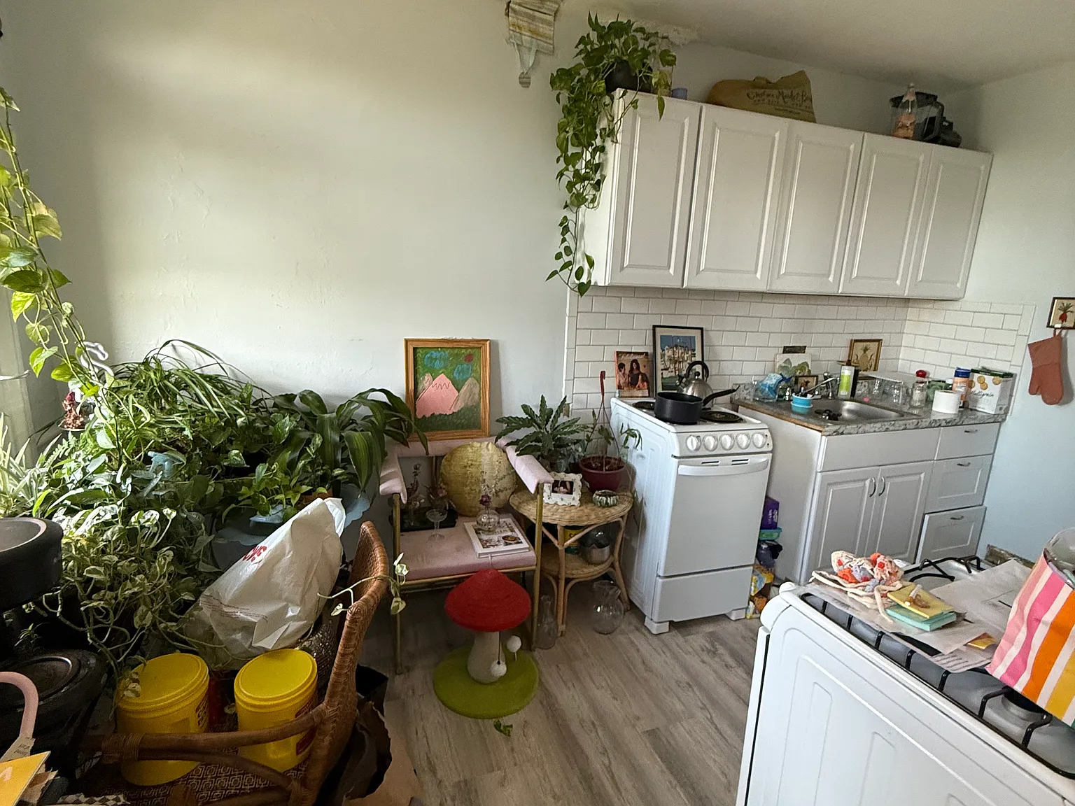 Studio, $2,500 — Photo 1