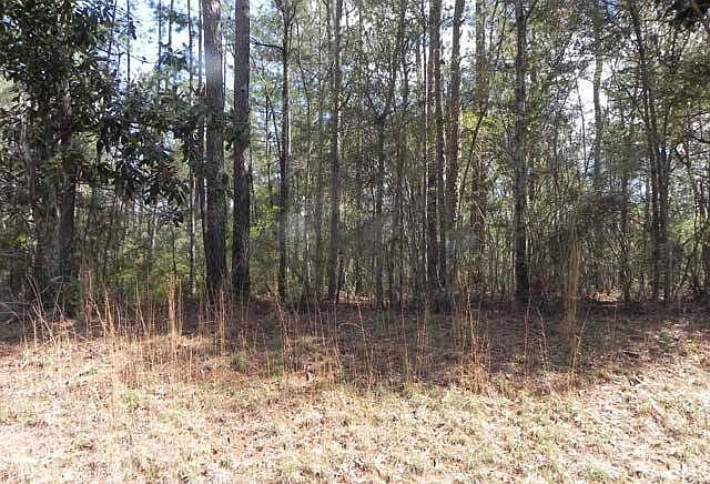 2nd image of 555 Whitehead Ln