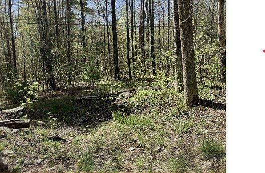 2nd image of 0 Burt Hill Rd Parcel 19