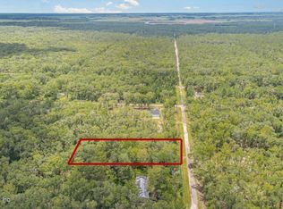 10710 Underwood Ave, Hastings, FL 32145