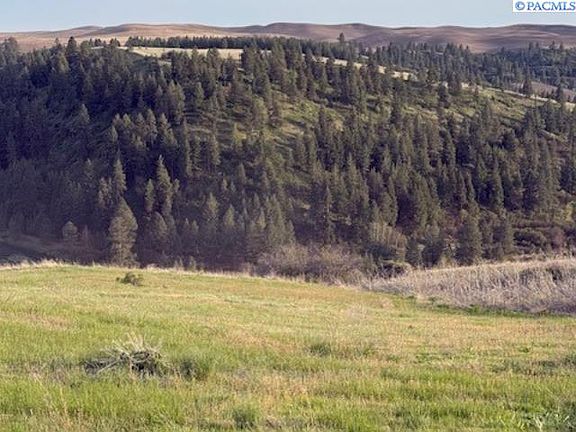 5th image of 5 Red Tail Ridge Rd