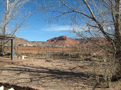 Back Yard View