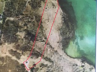 AMON Ln #4, Alanson, MI 49706