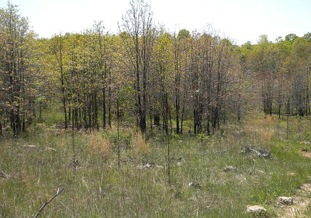 1st image of 3900 County Road 2470