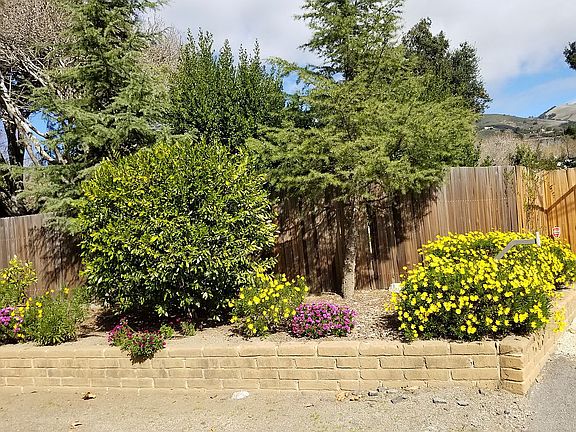 Front Fence Area Southside