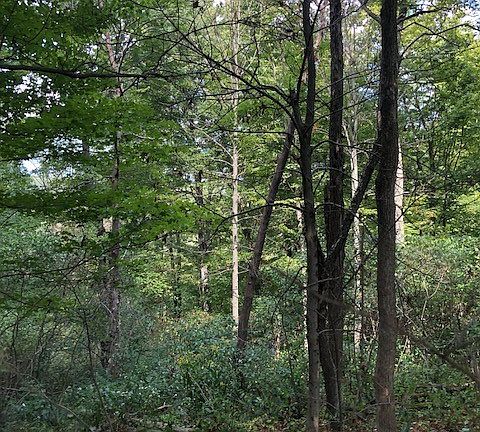 3rd image of Nalley Rd