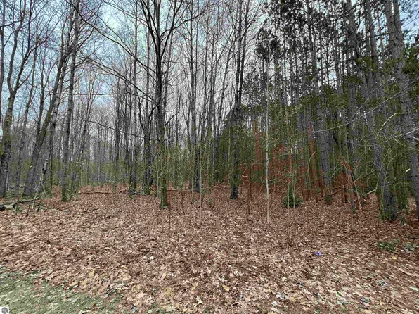 Vl 7 Schuss Mountain Dr, Bellaire, MI 49615