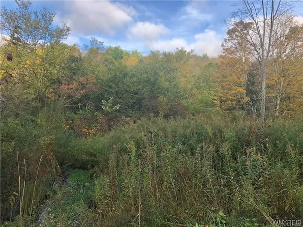 5717 Plum Brook Rd #10, Great Valley, NY 14741