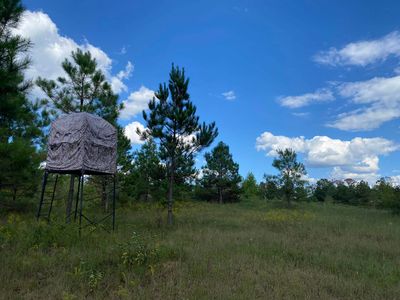 0 Simmons Branch Rd, Waynesboro, TN, 38485