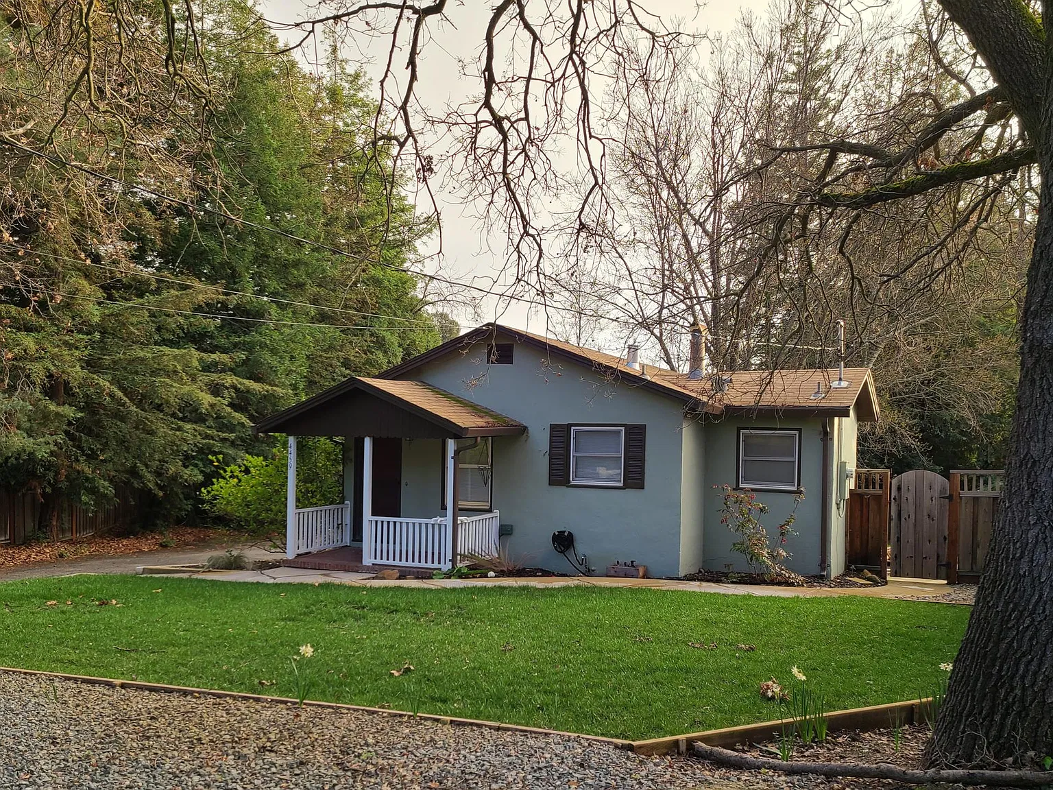 2 bed, 800 sqft, $2,950 — Photo 2