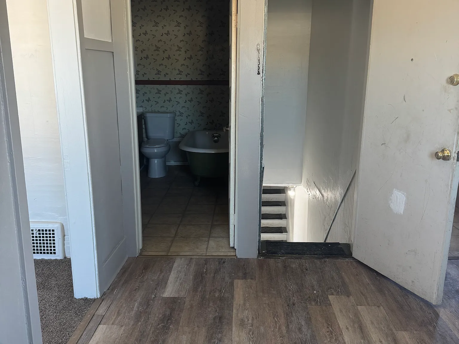 1 bed, $800 — Photo 3