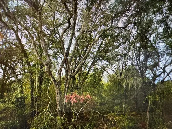 0 SE 141ST AVENUE LOT 11, OCKLAWAHA, FL 32179