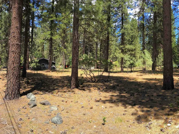 7 Korominu Trl, Graeagle, CA 96103