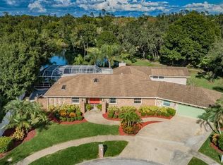 2815 Bridlewood Ct, Palm Harbor, FL 34683