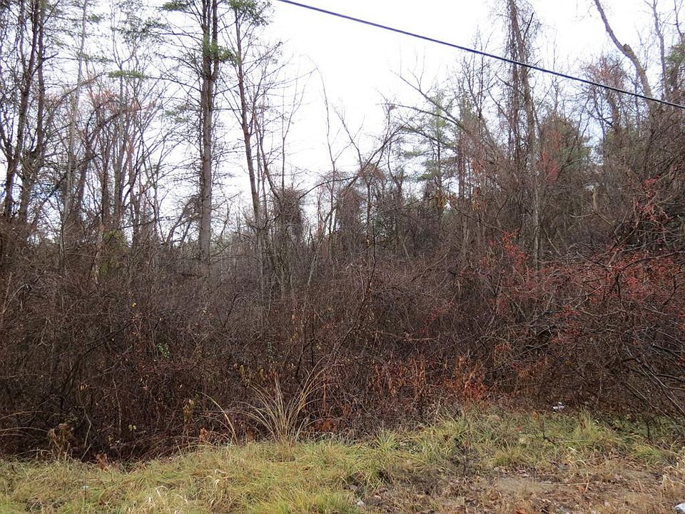 2nd image of 10 Soper Rd