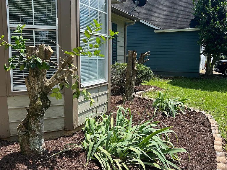 695 Paris Dr — Photo 37