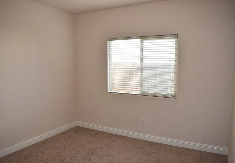 3779 Bonifacio Way — Photo 35