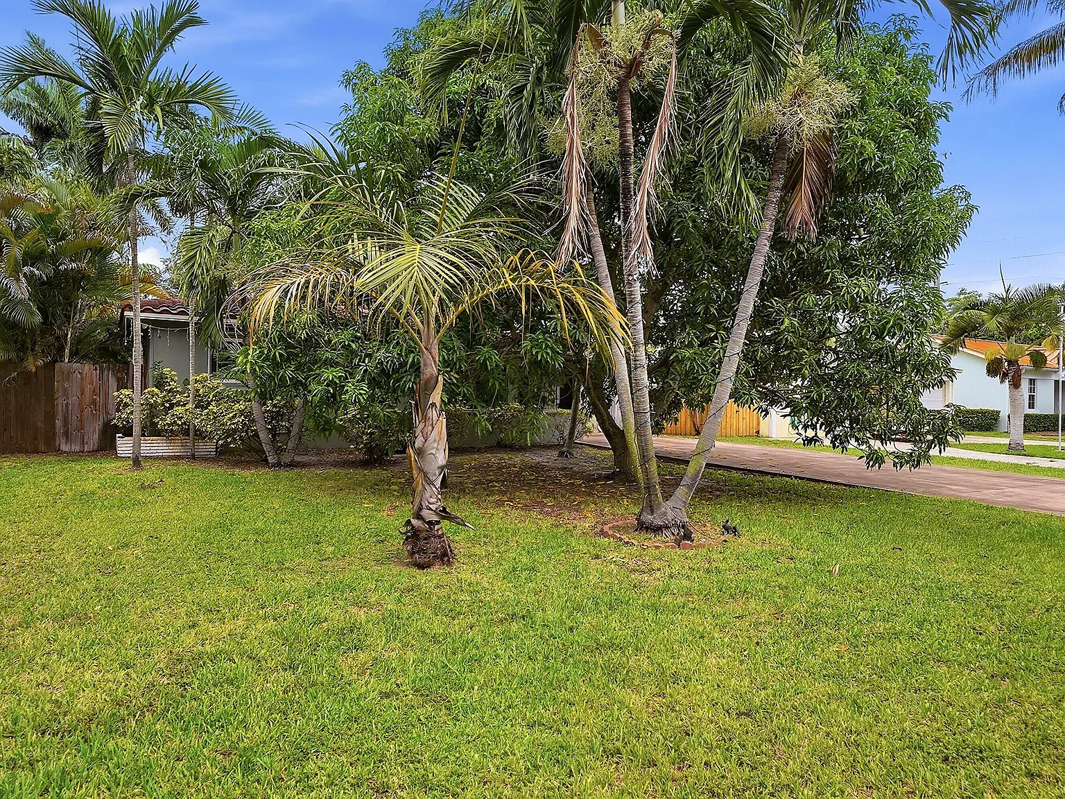 3 bed, 2.0 bath, 1258 sqft, $3,600 — Photo 3