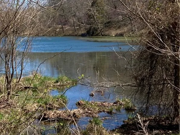 0 County Road 317 #10, Eureka Springs, AR 72632