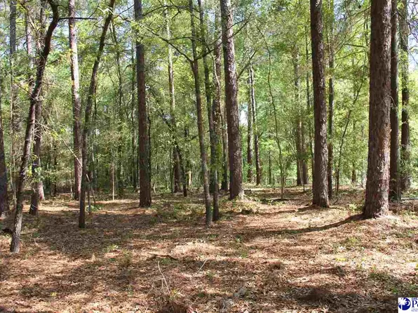 Westover Dr, Hartsville, SC 29550