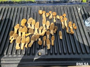 8963 Mechanicsburg Rd, Dawson, IL 62520