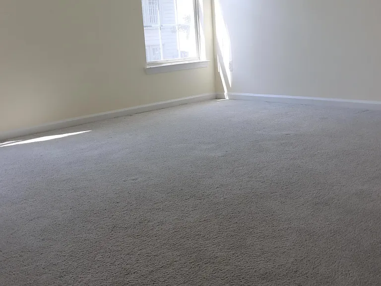 8560 Barrow Furnace Ln — Photo 19