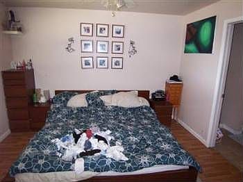 3rd image of 4920 Jolana Ln