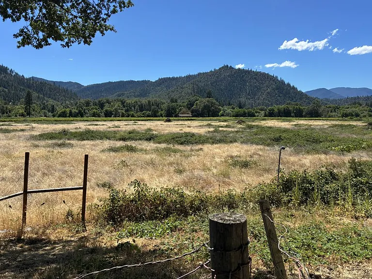17205 N Applegate Rd — Photo 13