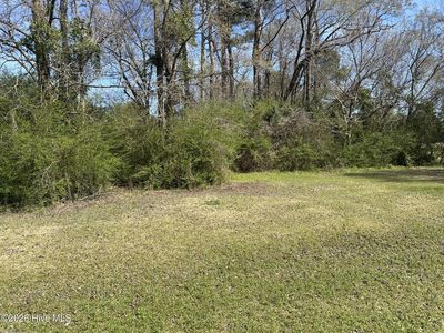0 Willard Railroad Street, Willard, NC, 28478