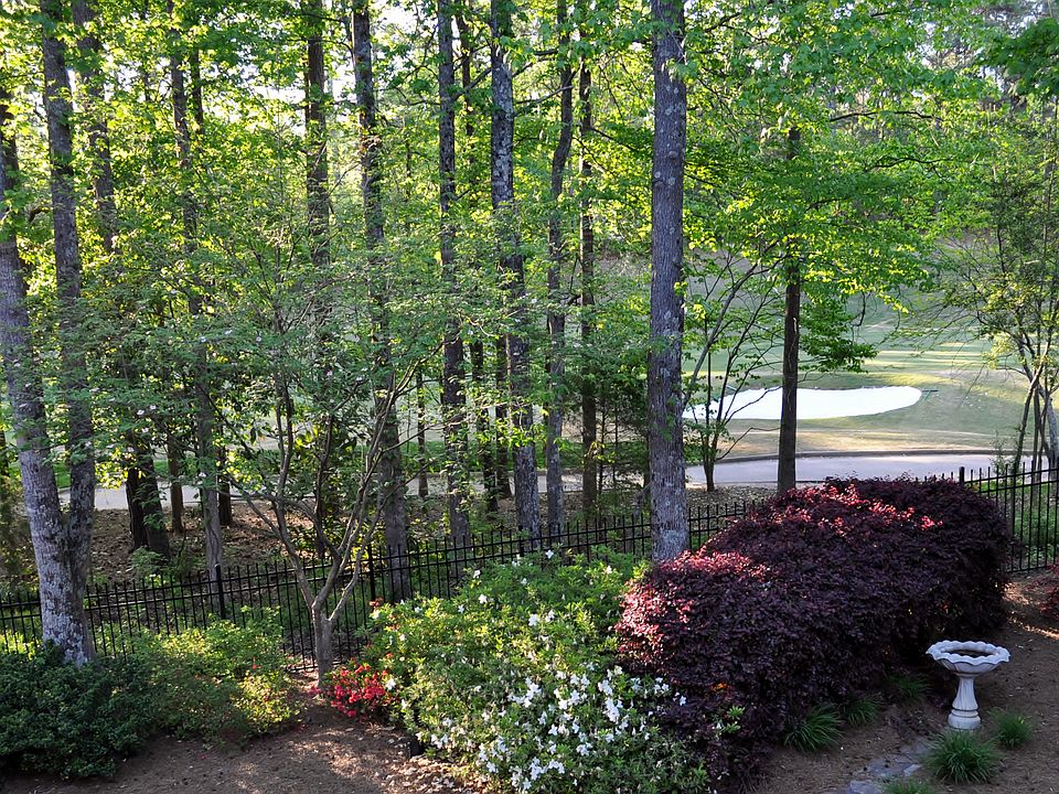 view from back deck