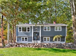 150 Mount Olive Rd, Mount Olive Twp., NJ 07836