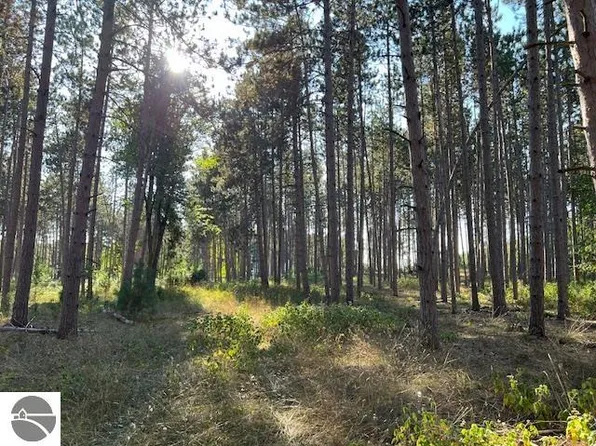 Samels Rd, Williamsburg, MI 49690