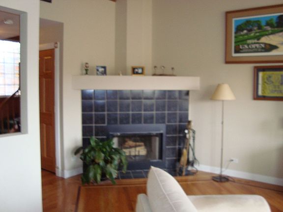 Fireplace in Living Room