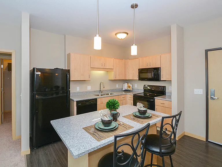 Granite Countertops and Black Appliances