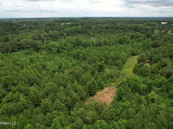 Smith Rd #35-11, Pulaski, MS 39152