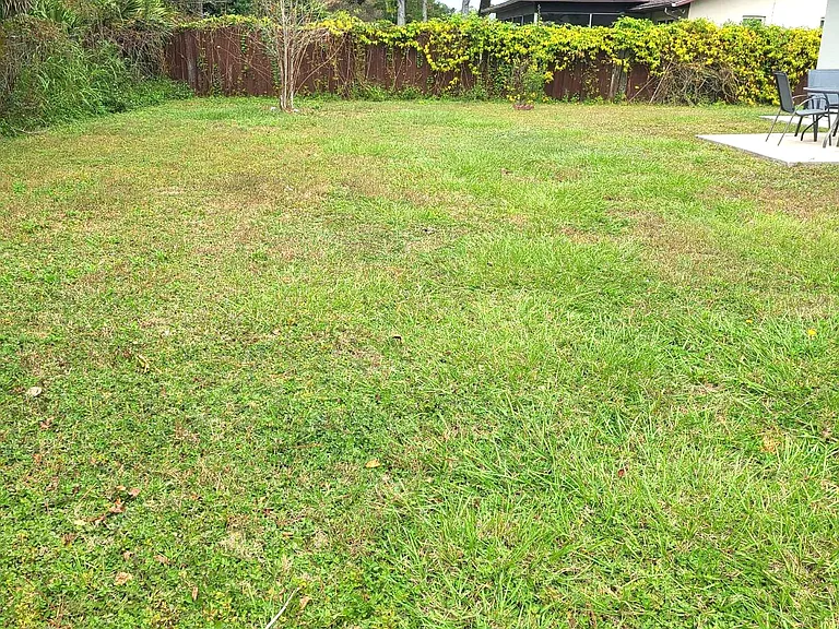 19 Bracken Ln — Photo 5