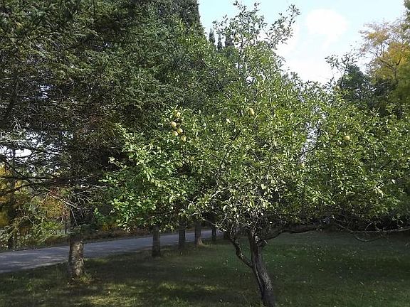 2nd image of 5836 Tietz Ln