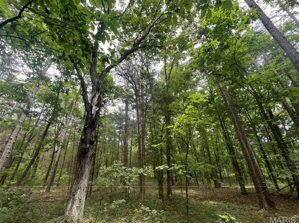 0 Madison Rd, Farmington, MO 63640