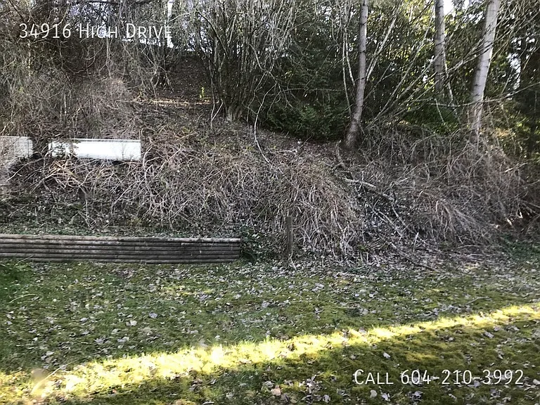 34916 High Dr — Photo 19