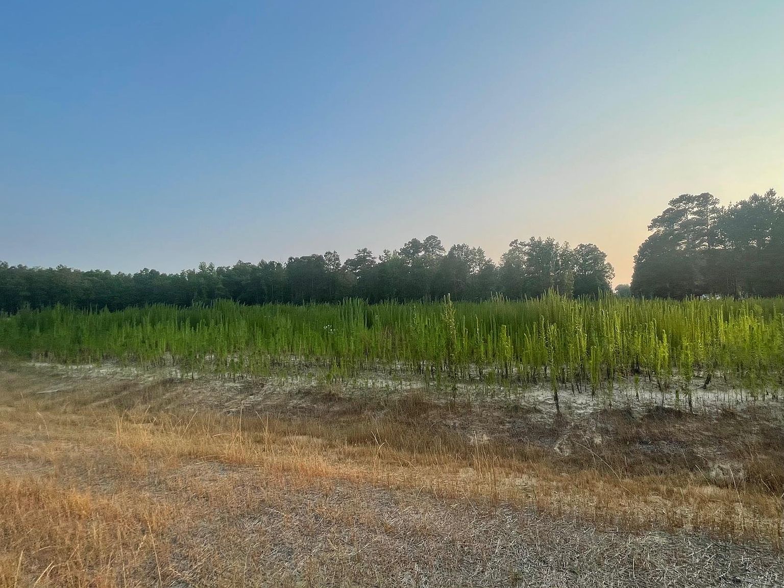 5128 Dogwood Dr, Battleboro, NC 27809 Zillow