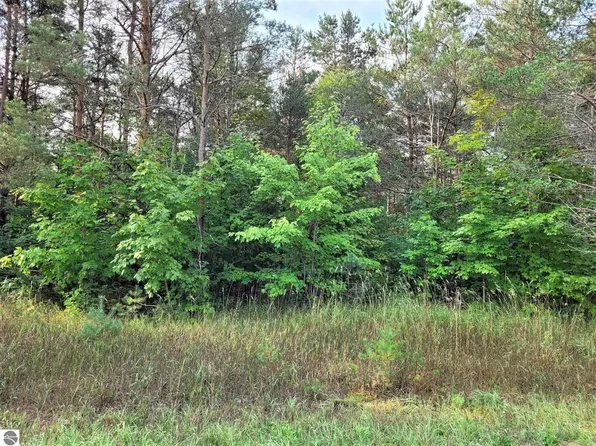 PARCEL Homestead Rd #B, Thompsonville, MI 49683