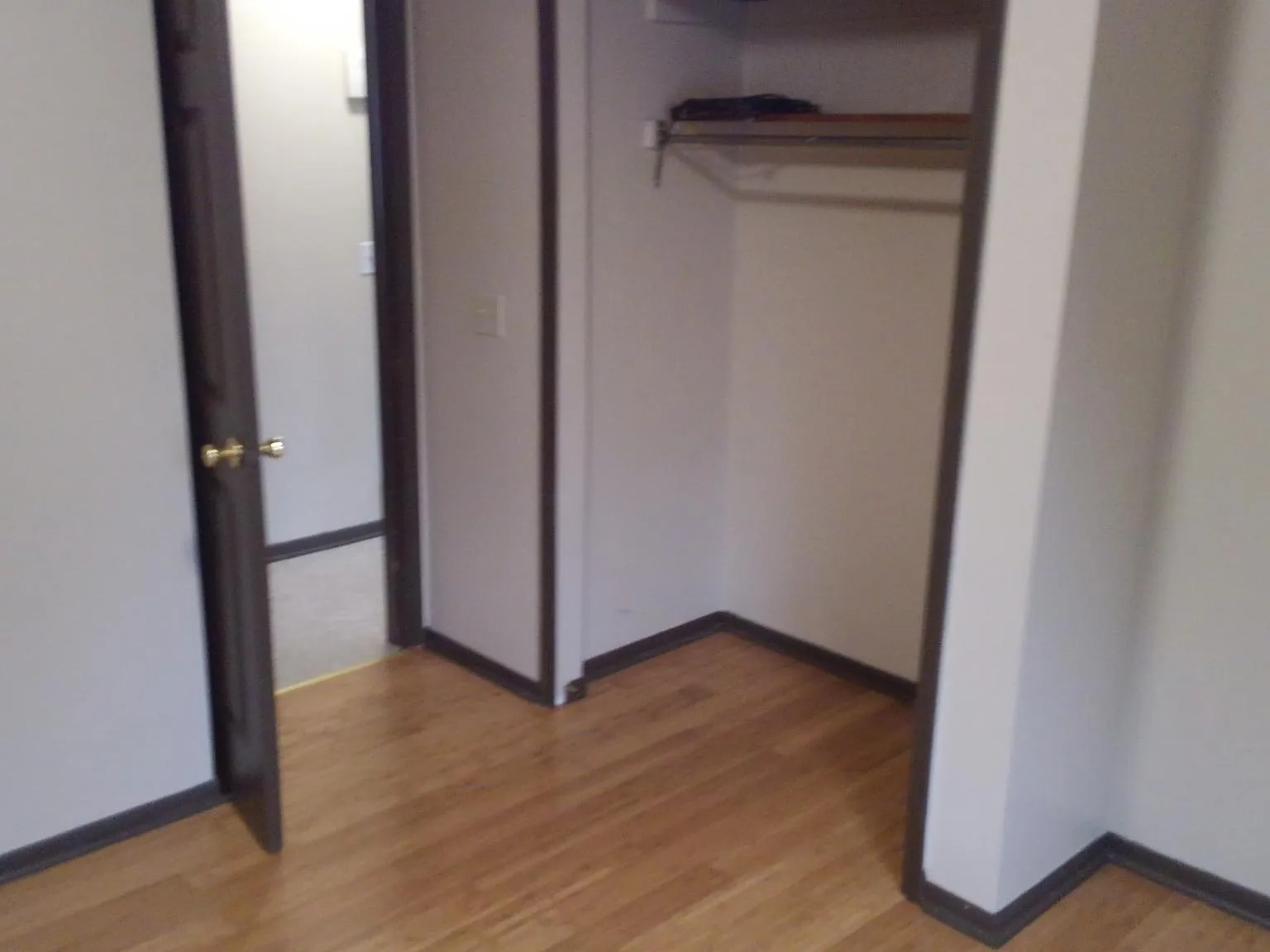 3 bed, 1482 sqft, $3,500 — Photo 2