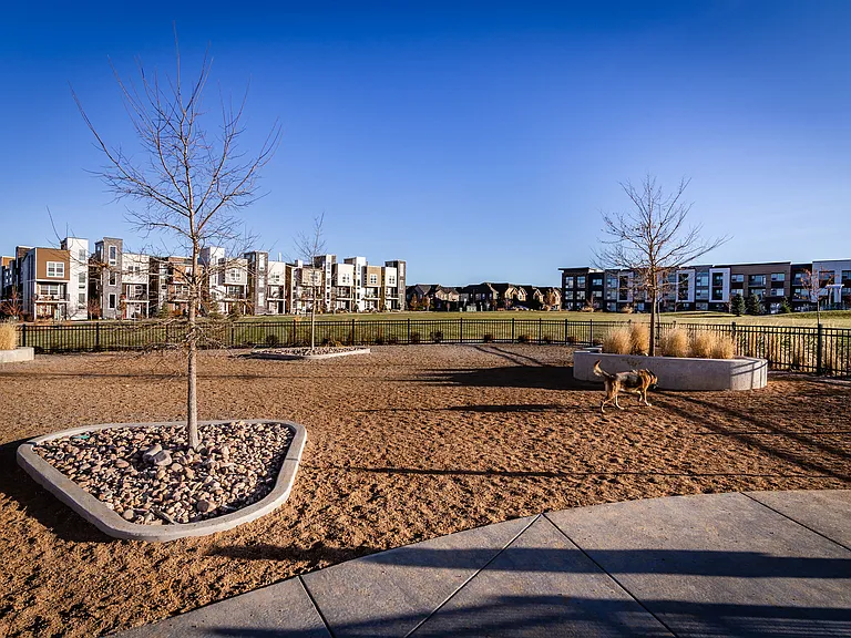 Community Dog Park