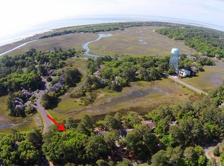 1401 Marsh Haven Rd, Johns Island, SC 29455