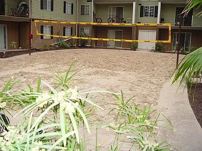 Solarium Volleyball