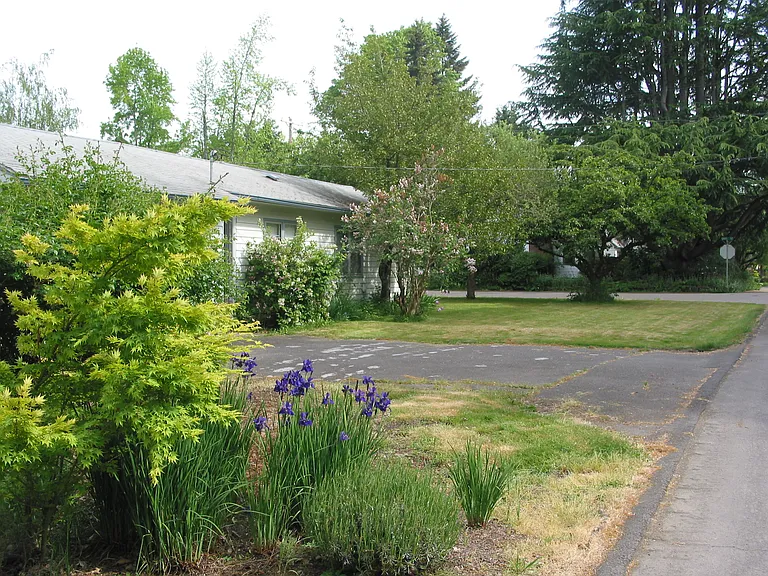 Side yard, looking south.