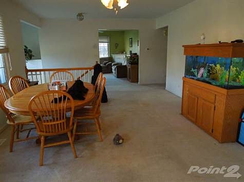 Web Pix 4905 Hickory 002 6