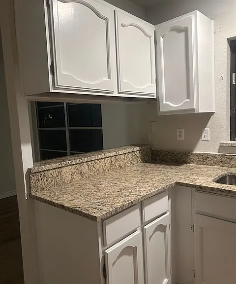 7138 Spring Point St — Photo 16